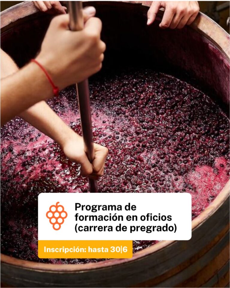 Provincia invita a participar en los programas de formación vitivinícola del CFI
