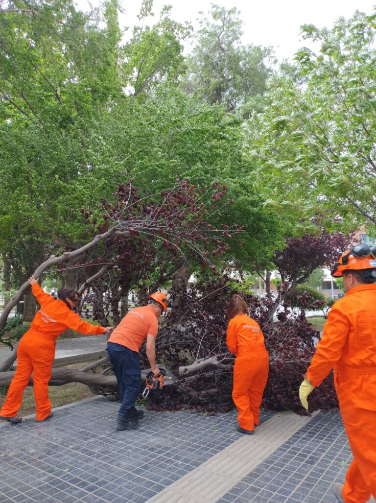 Trelew: El Municipio coordinó operativo por fuertes vientos en toda la ciudad