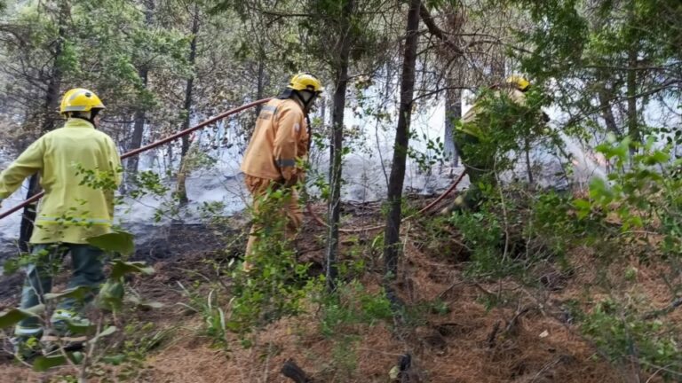 Se sumó un helicóptero en la lucha contra el incendio