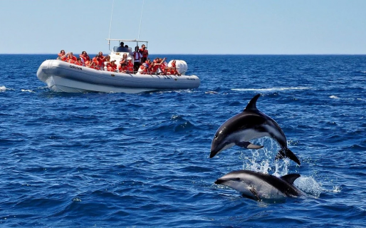 Fin de semana XXL: En Chubut los niveles de ocupación hotelera superaron el 50%