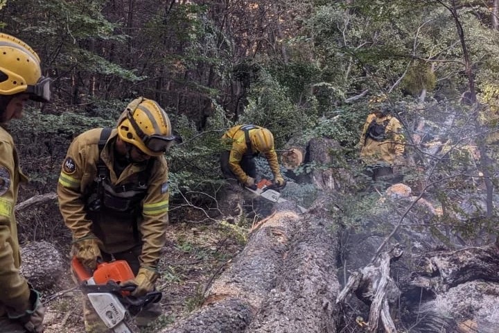 El incendio en Lago Menéndez ya quemó 270 hectáreas