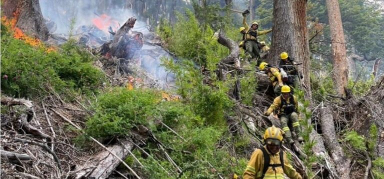 Combaten el fuego en Lago Menéndez con cinco medios aéreos