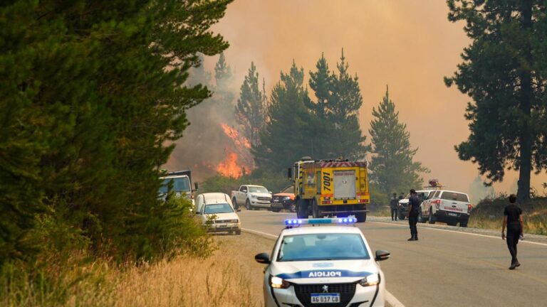 Con un amplio despliegue de recursos, Provincia refuerza el operativo contra el incendio en Puerto Patriada