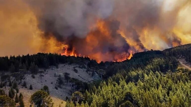 El Gobierno analiza incluir la Emergencia Ígnea a las Extraordinarias