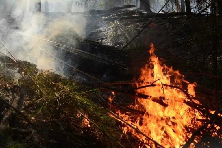 El incendio avanza y hay evacuados en Lago Menéndez