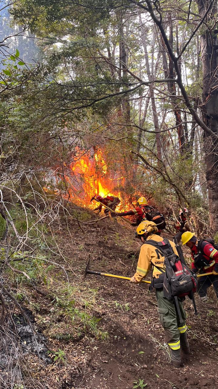 Continúa el combate sin tregua contra múltiples frentes