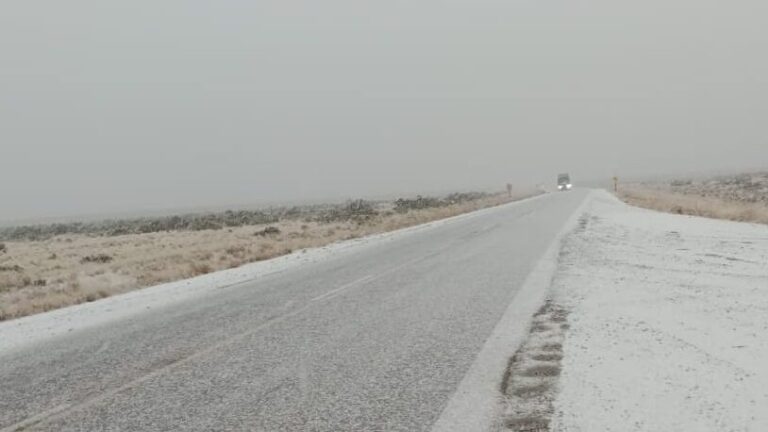 Extrema precaución en la Ruta 3 entre Garayalde y Comodoro